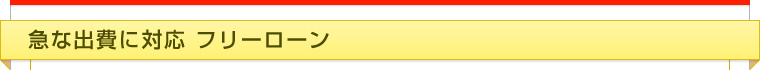 急な出費に対応　フリーローン